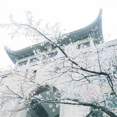 菲印“加强海上合作” 专家：破坏地区稳定