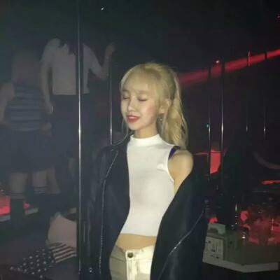 苦力灰姑娘破解版下载